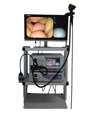 1585275028916447.jpg 3333.jpg