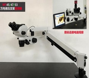 1585275742995411.jpg 5e7077719943f.jpg